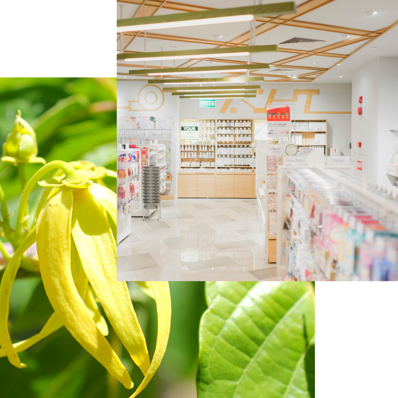 Apotheke_Doppel (1)
